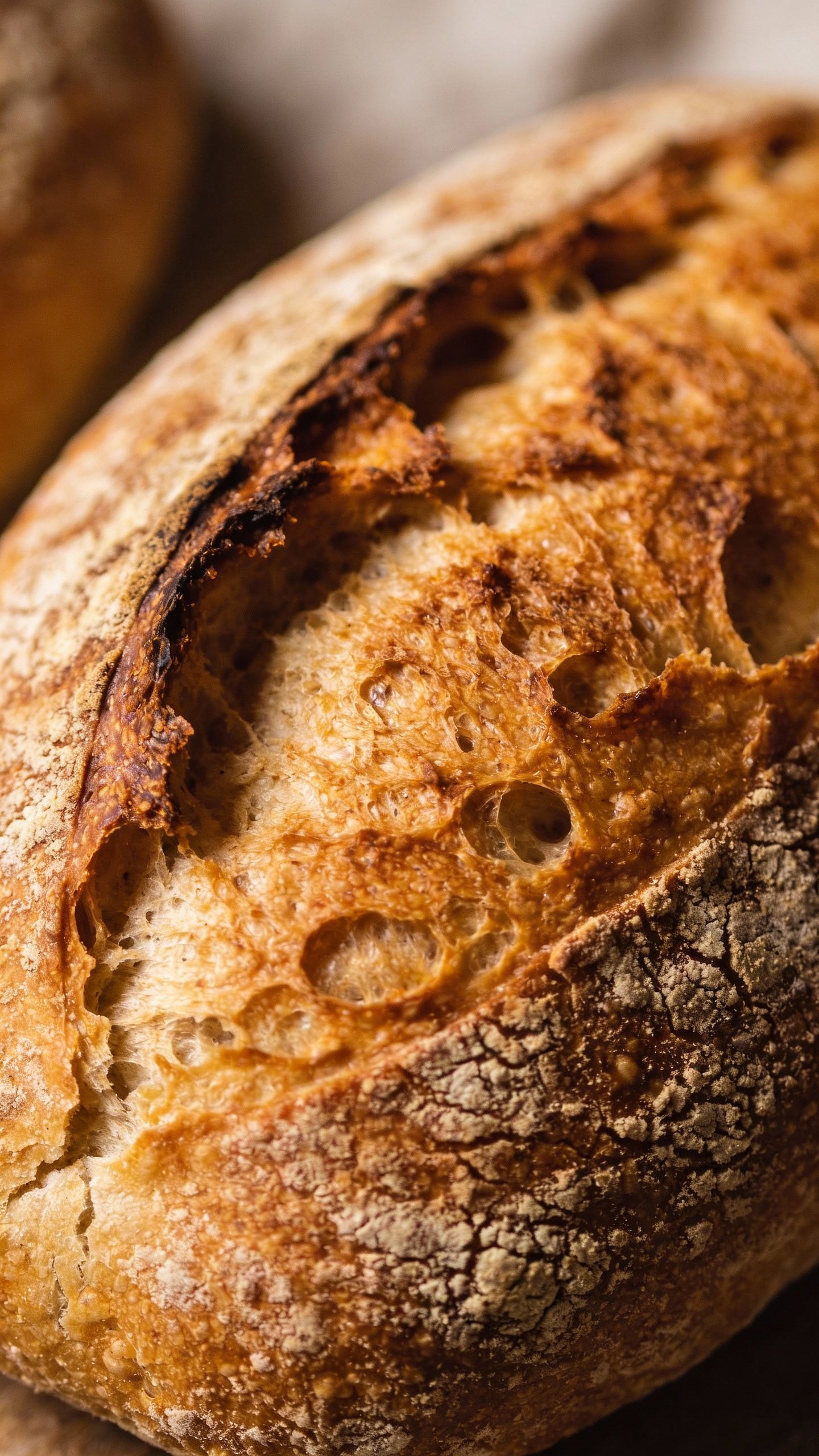 closeup of crackly ciabatta crust, golden and blistered