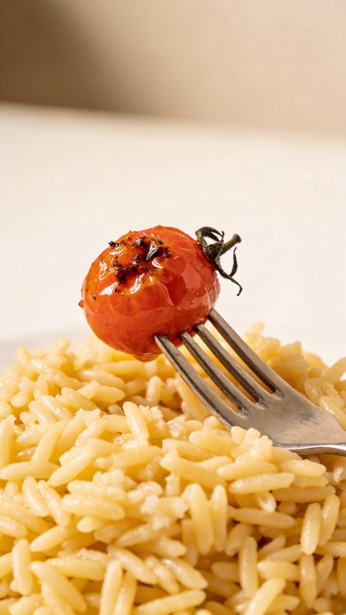 Single blistered cherry tomato on fork over orzo